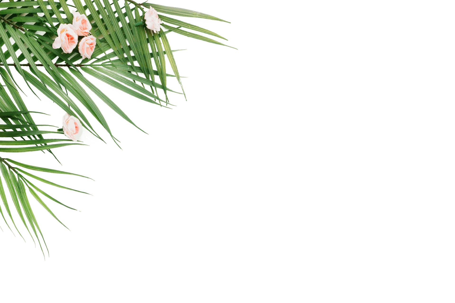 foliage