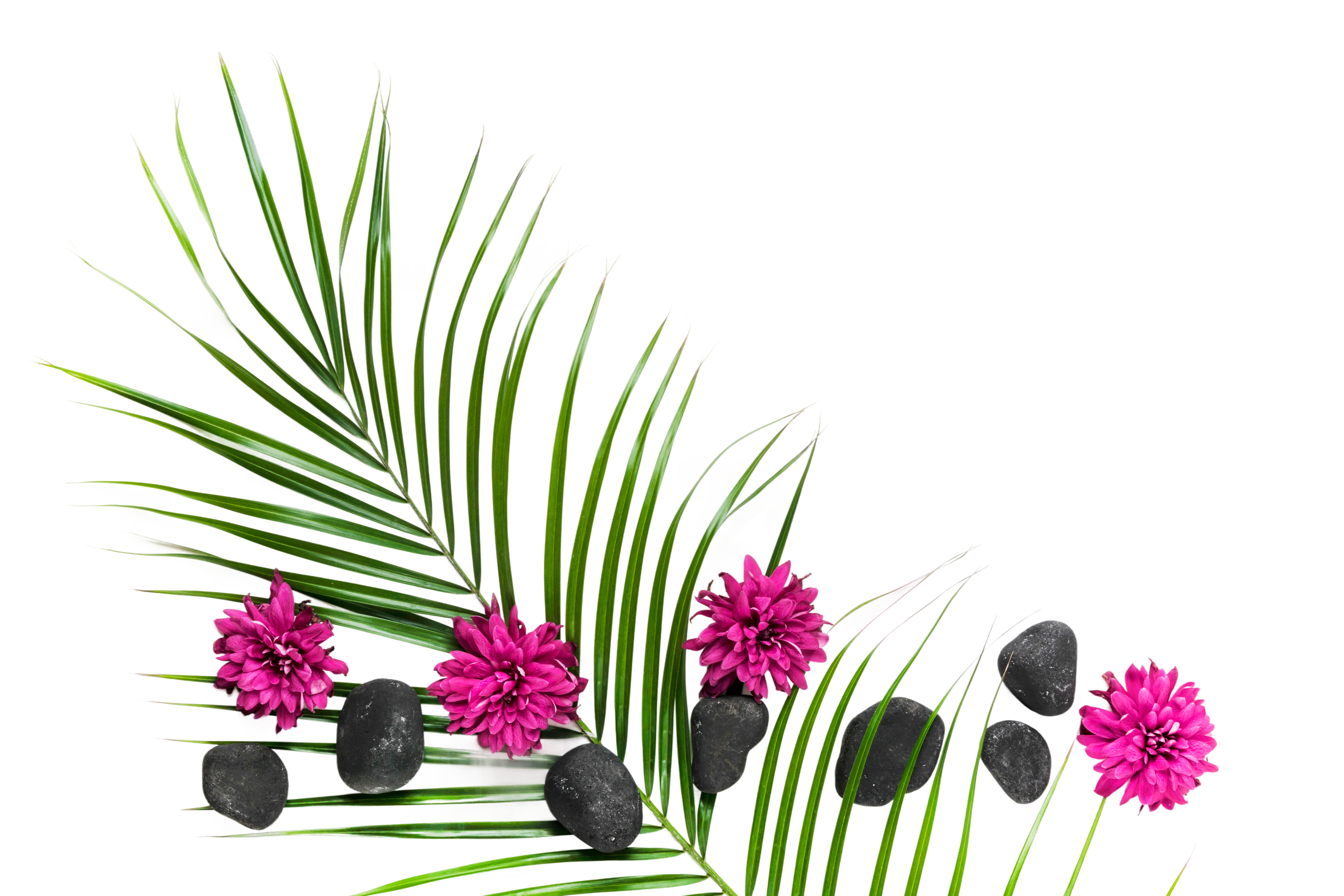 Botanicals